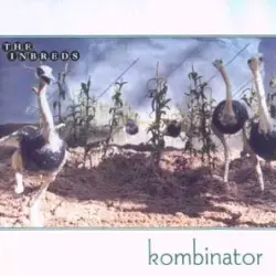 Kombinator