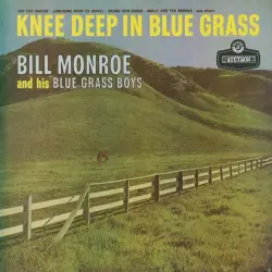 Knee Deep in Bluegrass Knee Deep in Bluegrass