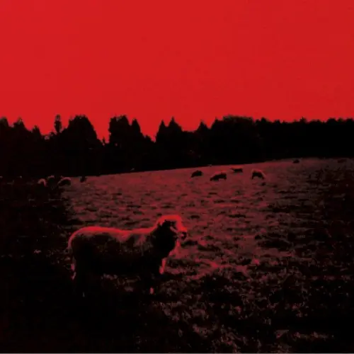 HELL‐SEE