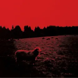 HELL‐SEE