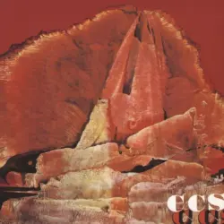 CCS