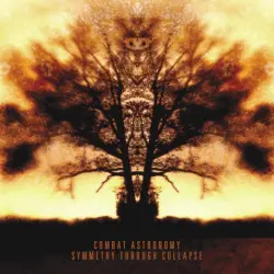 Symmetry Through Collapse