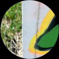 Magentinal Slights