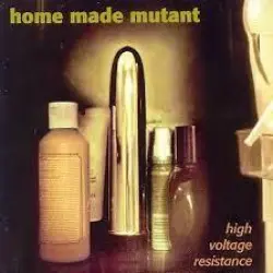 High Voltage Resistance