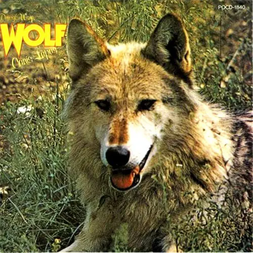 Canis Lupus