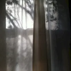 Music From The Headlands Center For The Arts, Volume Four - A World Apart