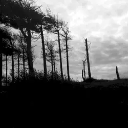 the indestructibility of the already felled