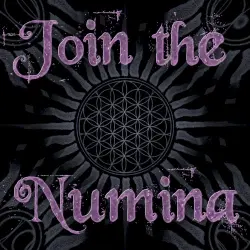 Join the Numina