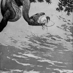 Eschatology III (Or the Precession of Nightfall, Part III: Awaken Summer Tongues)