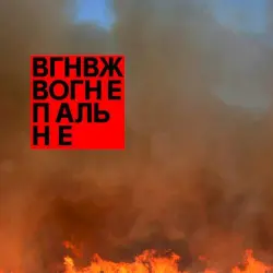 Вогнепальне