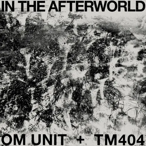 In the Afterworld
