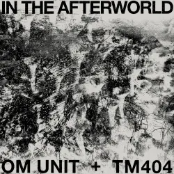 In the Afterworld
