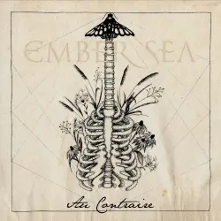 Au Contraire (unplugged)