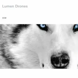Lumen Drones