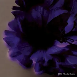Seele Blume
