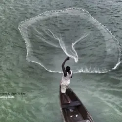 Casting Nets