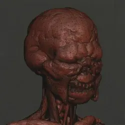 KoMaRa