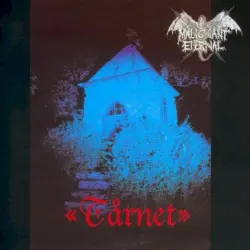 Tårnet
