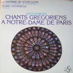 Les plus beaux chants grégoriens à Notre-Dame de Paris