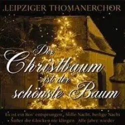 Der Chistbaum ist der schönste Baum