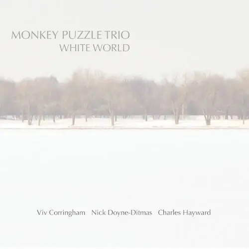 White World