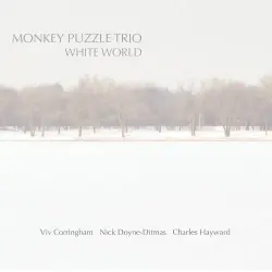 White World