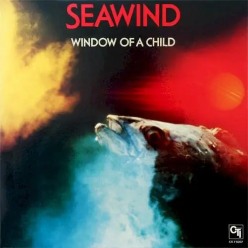 Window of a Child