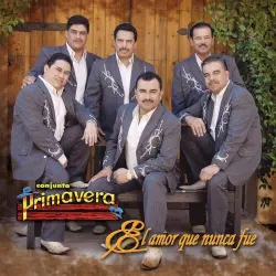 El amor que nunca fue El amor que nunca fue