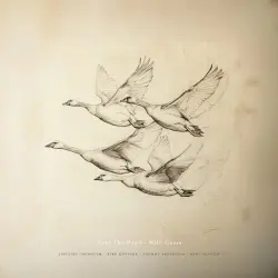 Near The Pond - Wild Geese