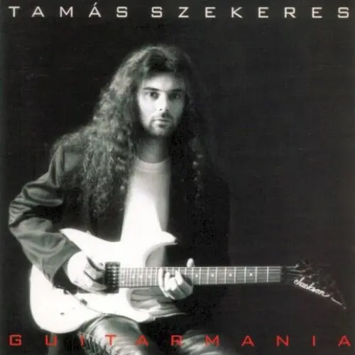 Guitarmania