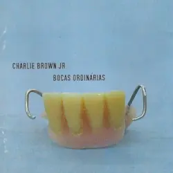Bocas ordinárias