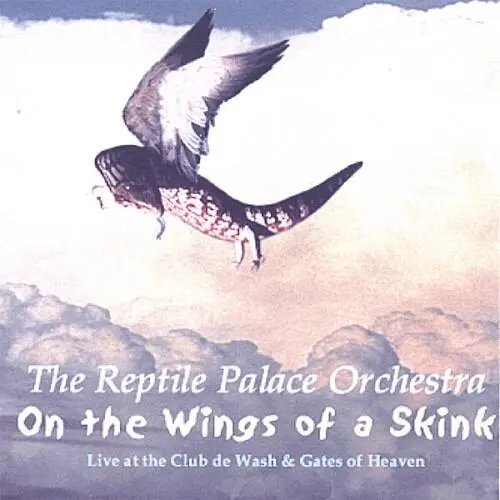 On the Wings of a Skink