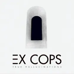 True Hallucinations