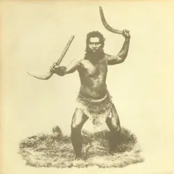 Boomerang