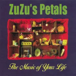 The Music of Your Life