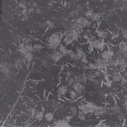 Poisoned Soil