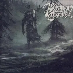 The Forestroamer