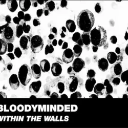 Within the Walls