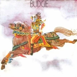 Budgie Budgie