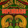 Mansize Rooster