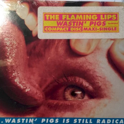 Yeah, I Know It’s a Drag… Wastin’ Pigs Is Still Radical
