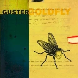 Goldfly Goldfly