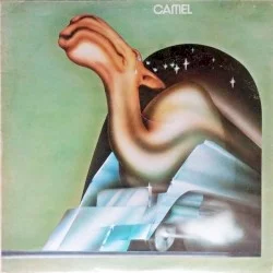 Camel Camel