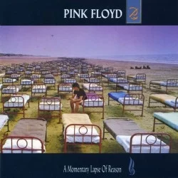 A Momentary Lapse of Reason A Momentary Lapse of Reason