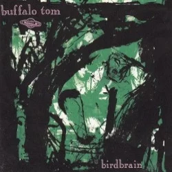 Birdbrain Birdbrain
