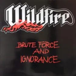 Brute Force and Ignorance