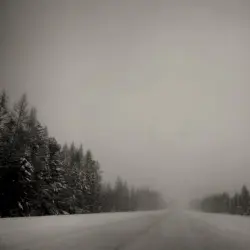Holiday in Thule