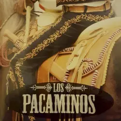 Los Pacaminos