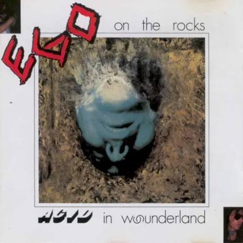 Acid in Wounderland