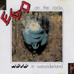 Acid in Wounderland